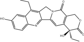 维多利亚老品牌vic(集团)官方网站